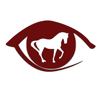 Through the eye of the judge logo