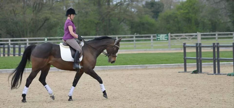 Horse and rider