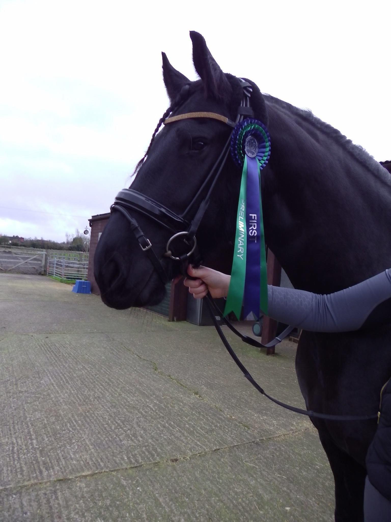 Horse and rosette