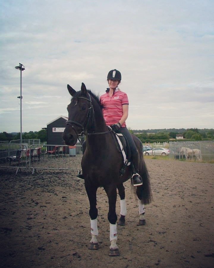 Horse and rider