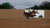 Horse and rider