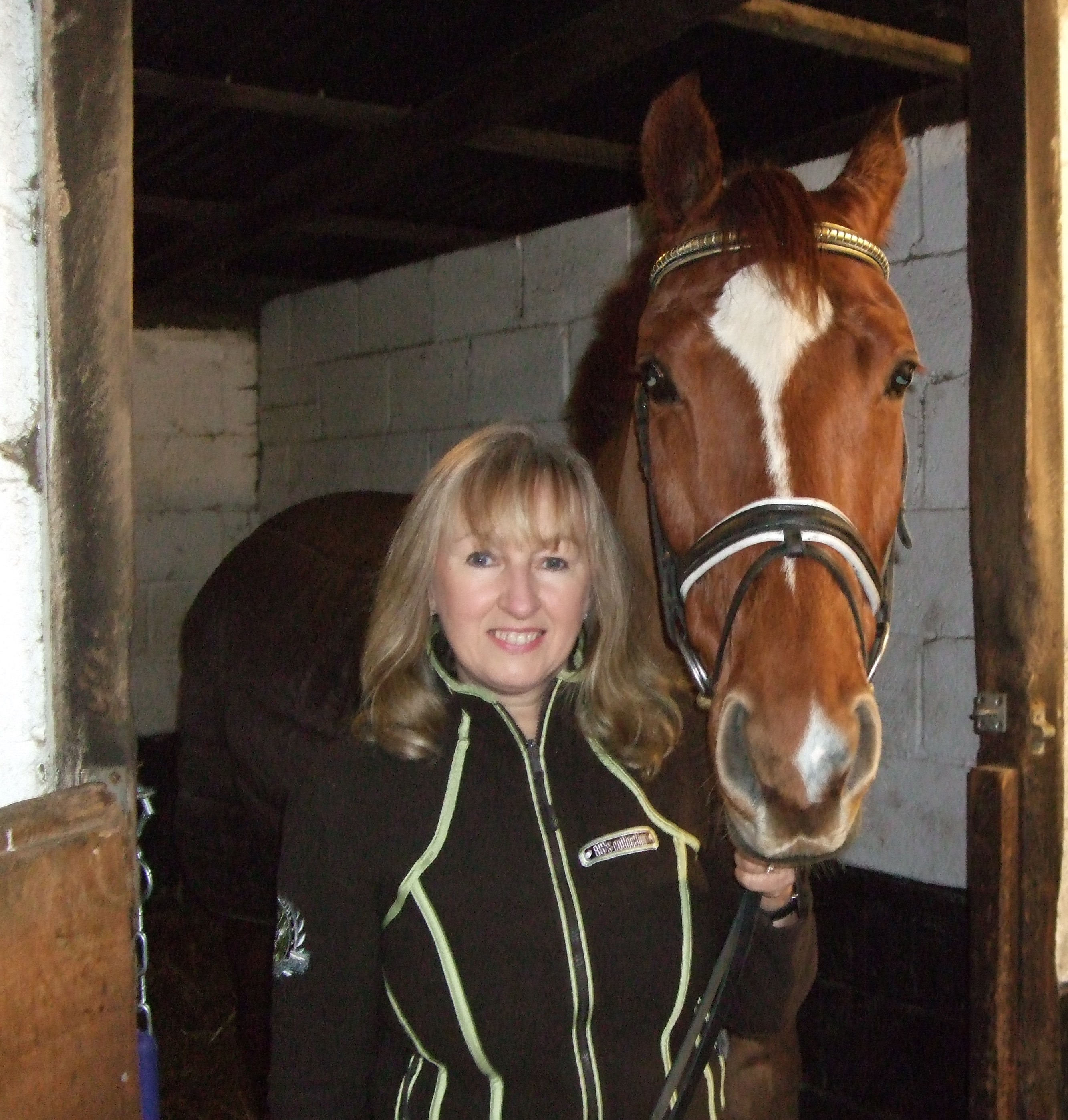 Horse and rider