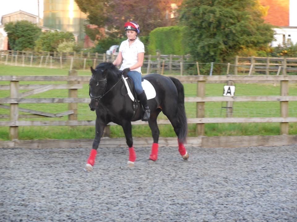 Horse and rider