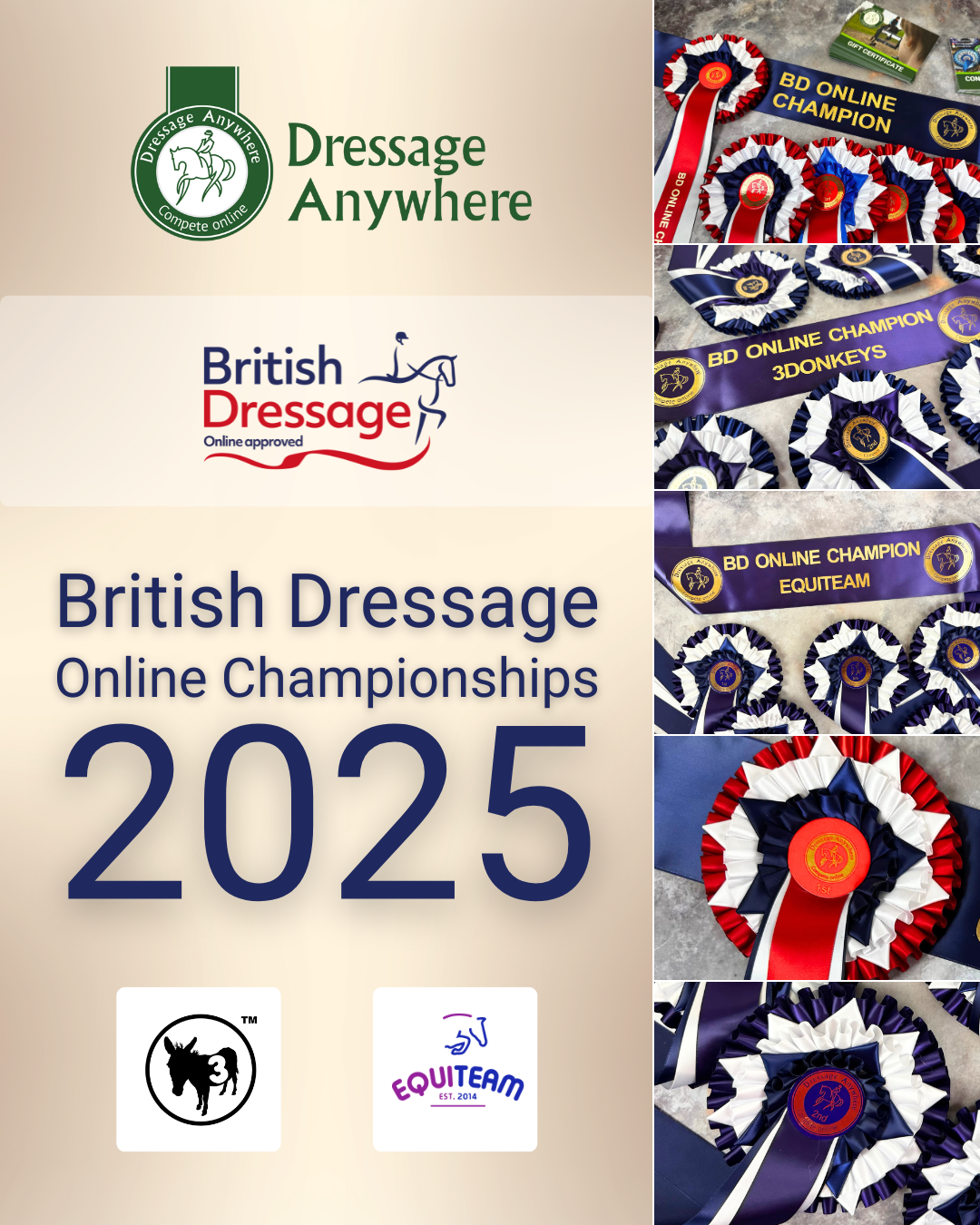 Selection of Championship rosettes