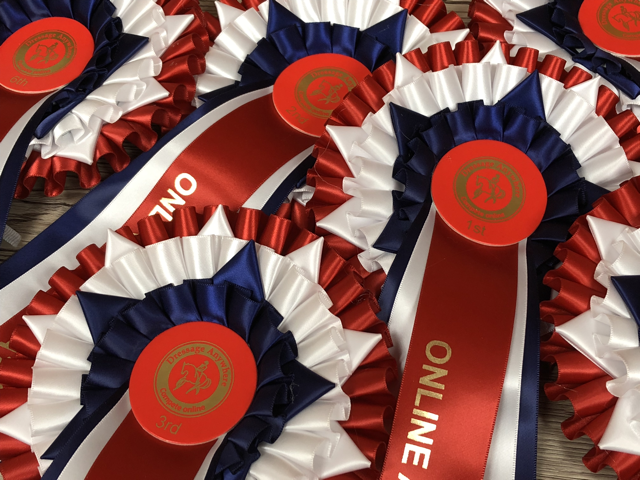 Red, white and blue rosettes, with a star in the middle