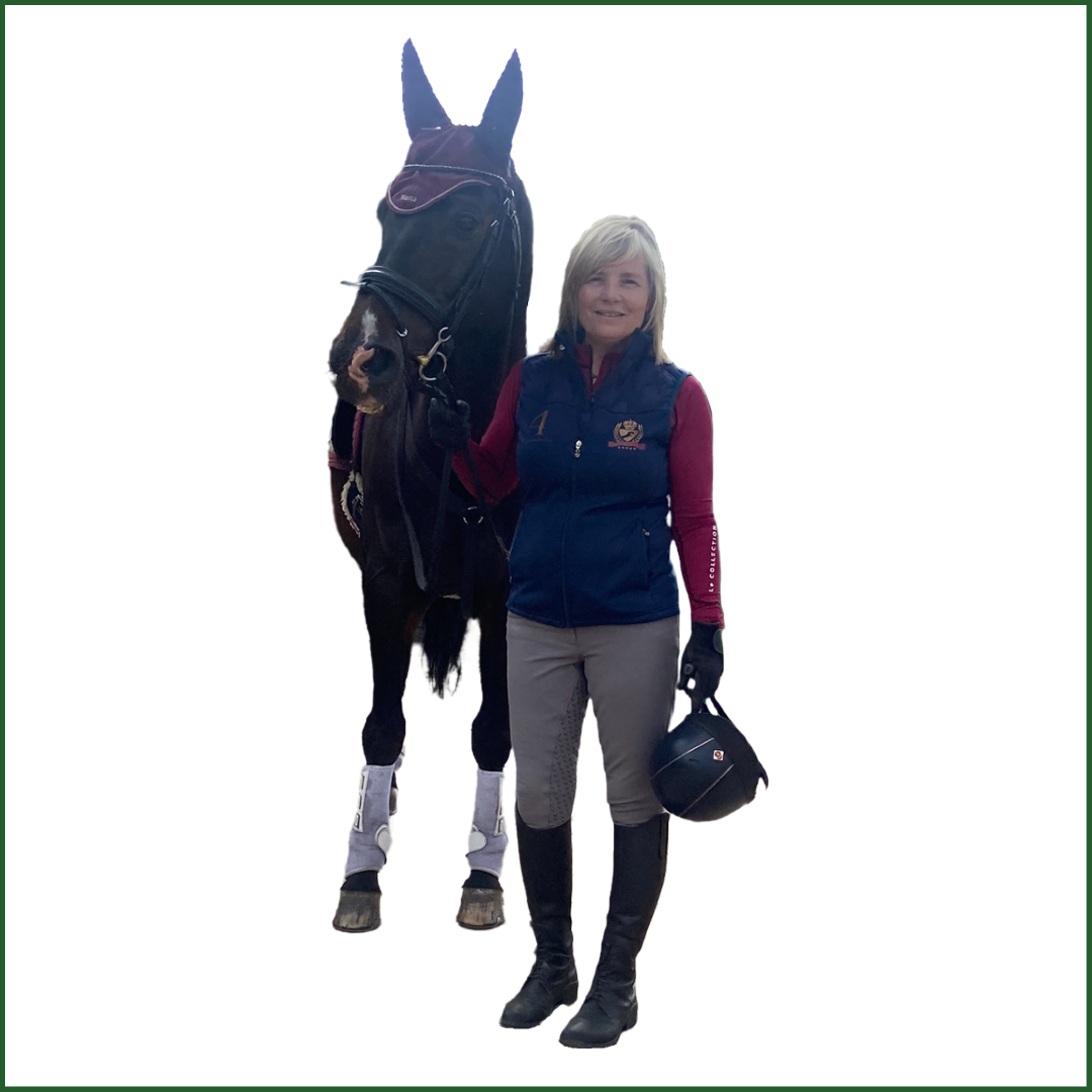 Horse and rider with a white background