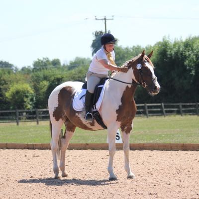 Horse patting rider on the centre line