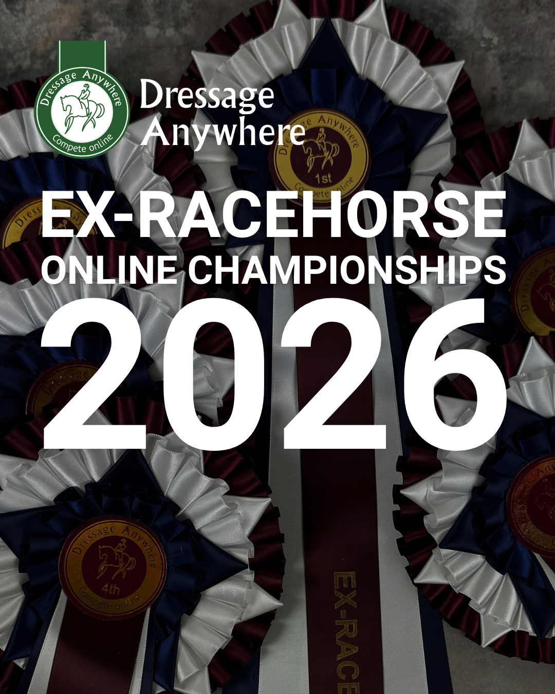 Championship rosettes