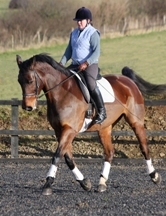 Dressage Anywhere