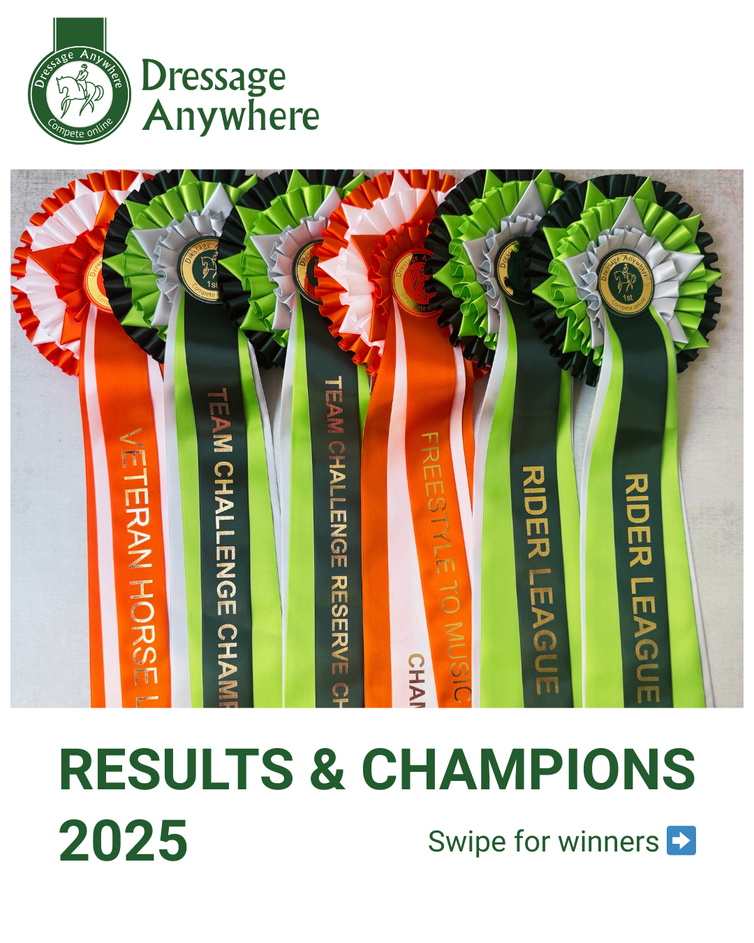 A row of five championship style rosettes