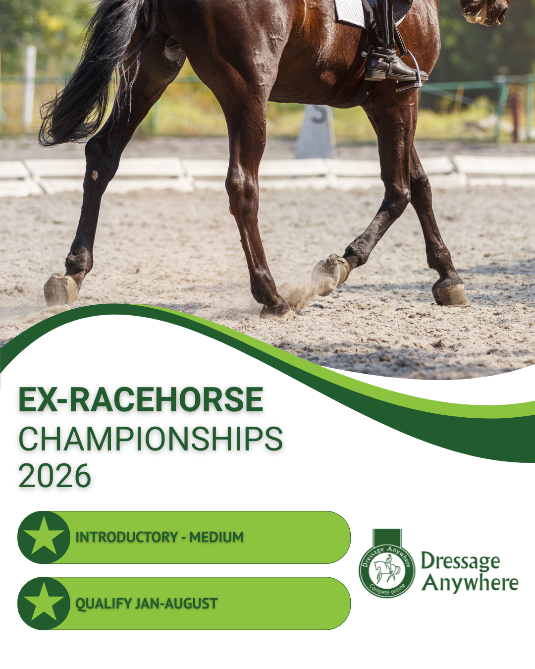 Bay horse with a rider trotting away from the camera in a dressage arena