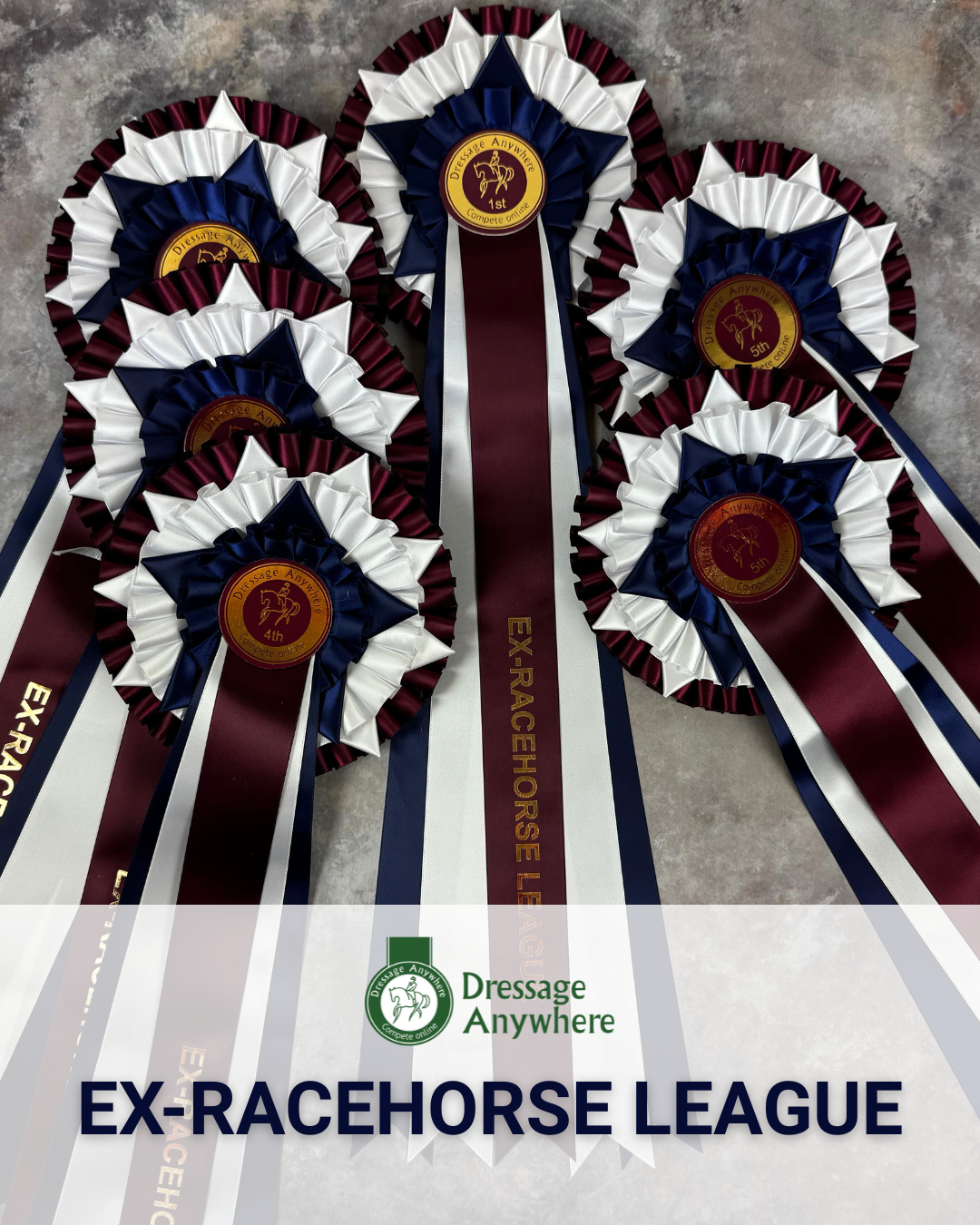 Dark red, dark blue and white league rosettes. Each rosette has Ex-Racehorse League on one of the tails