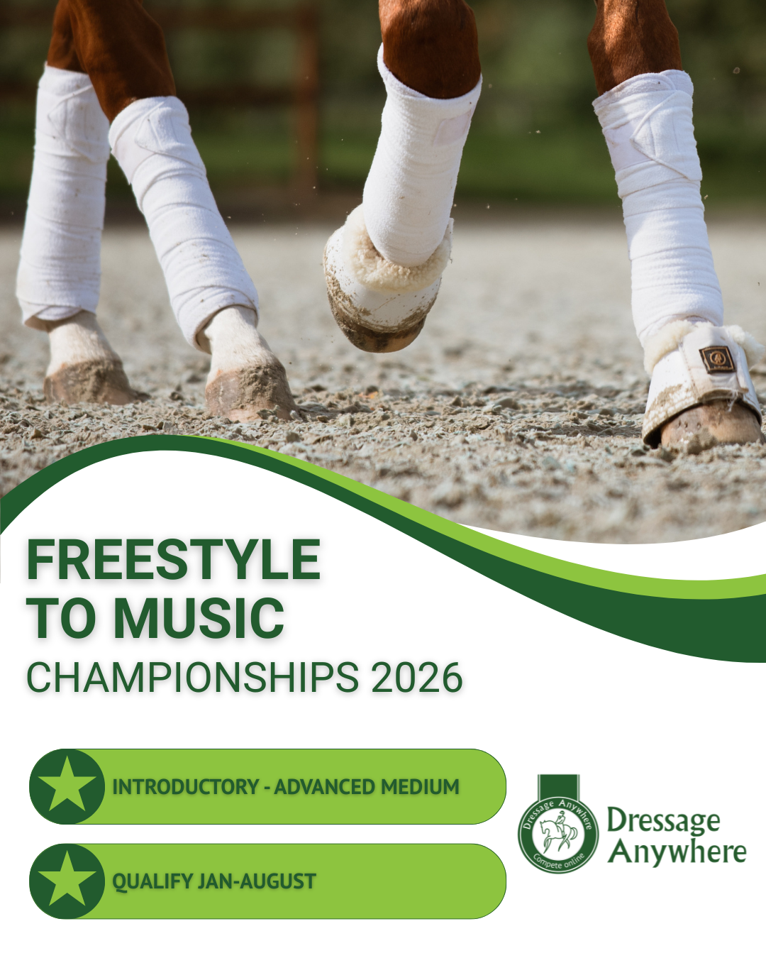 Close up of a horse's legs in motion. The legs are wearing white exercise bandages