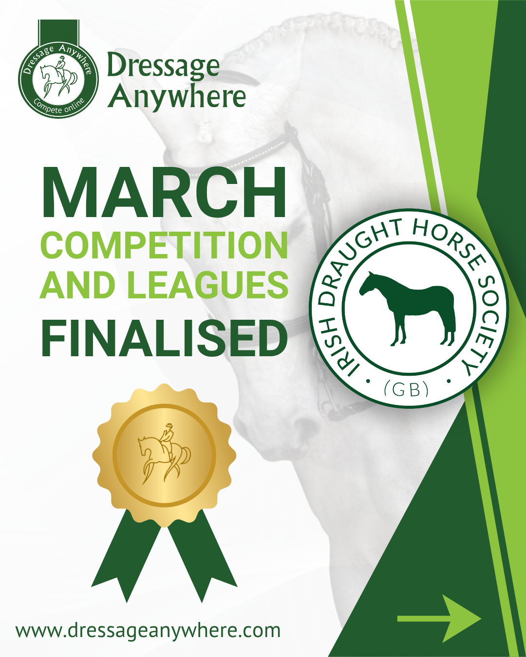 Irish draught horse head in the background, text reads March competition and Leagues finalised