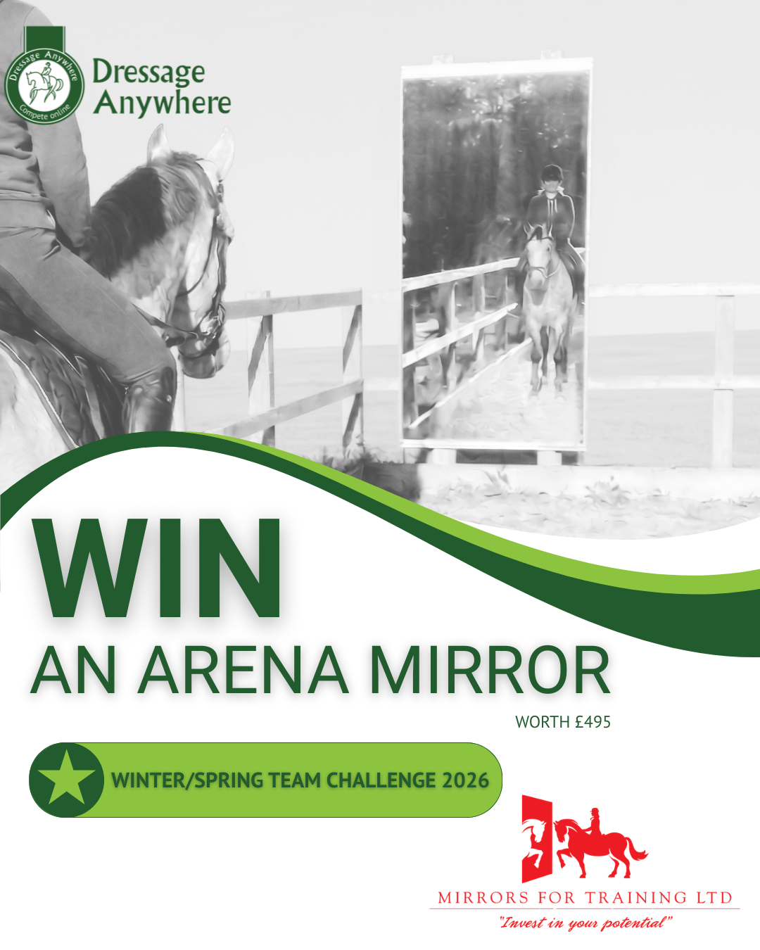 Rider and horse facing away from the camera standing in front of an arena mirror