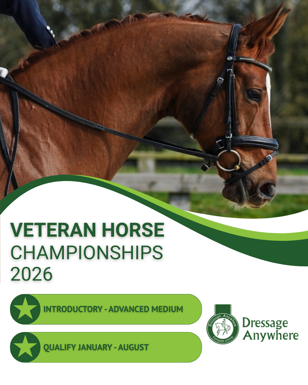 A close up of a chestnut horse's head and neck. The rider is wearing a blue jacket and patting the horse's neck