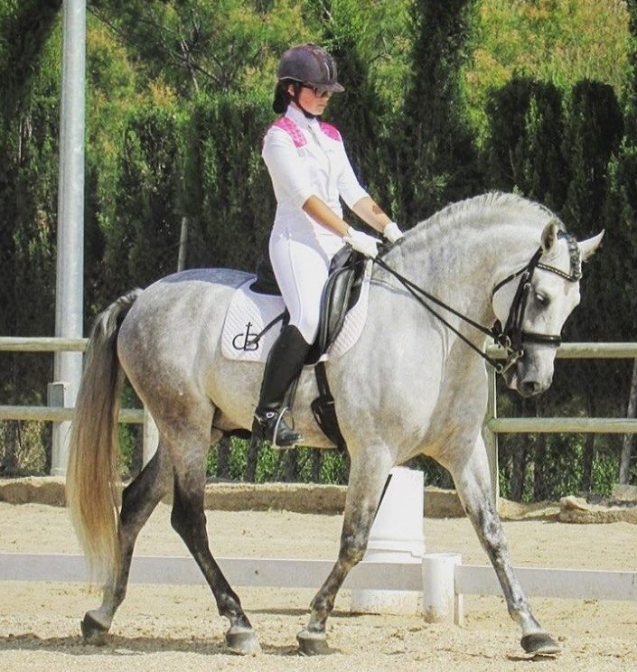 Horse and rider