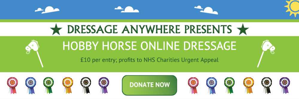 Donate Now