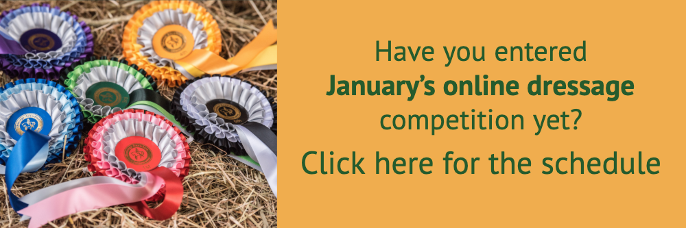 Online dressage banner