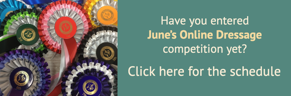 Online dressage banner