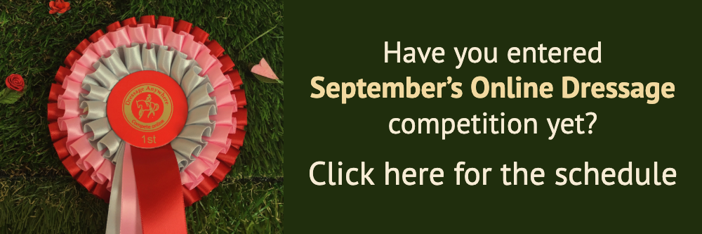 Online dressage banner