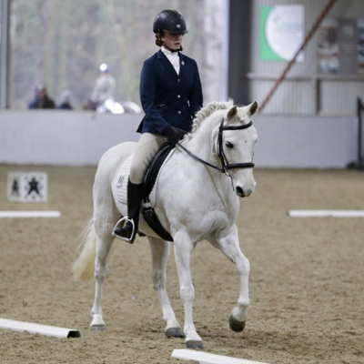 Horse and rider dressage test