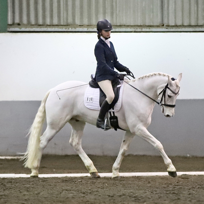 Horse and rider dressage test