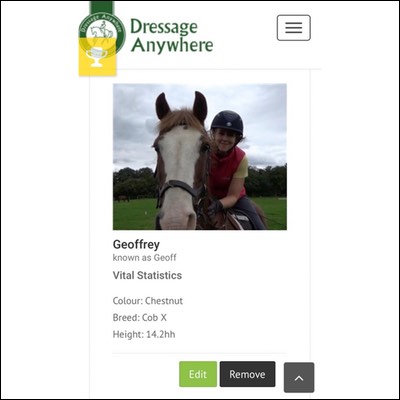 Online dressage horse profile