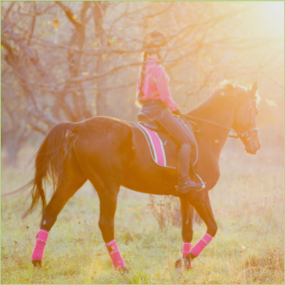 Junior and The Pony Club Online Dressasge
