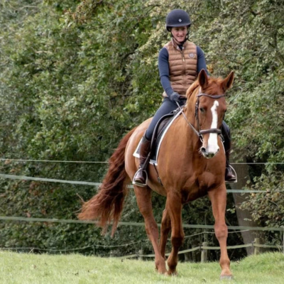 Horse and rider trotting in a grass arena