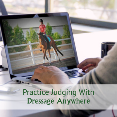 Judging Online Dressage on a laptop