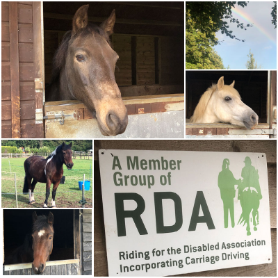 RDA ponies