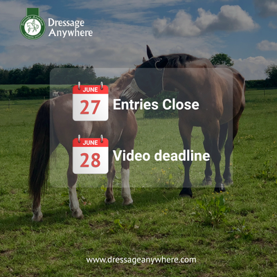 Two horses grooming each other, the sky is bright blue with a few clouds and the grass is a deep green