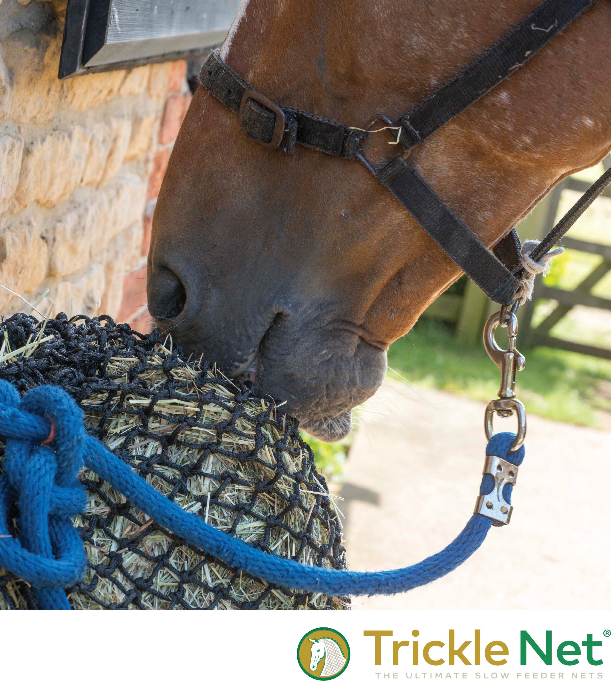 Horse with Trickle Net